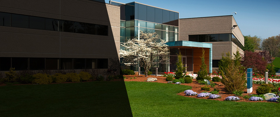 Milton Landscapers
