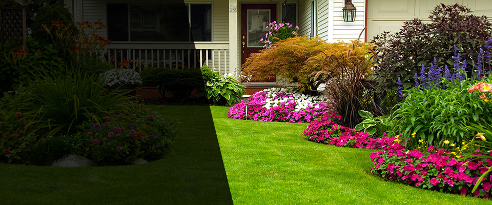 Milton Landscapers